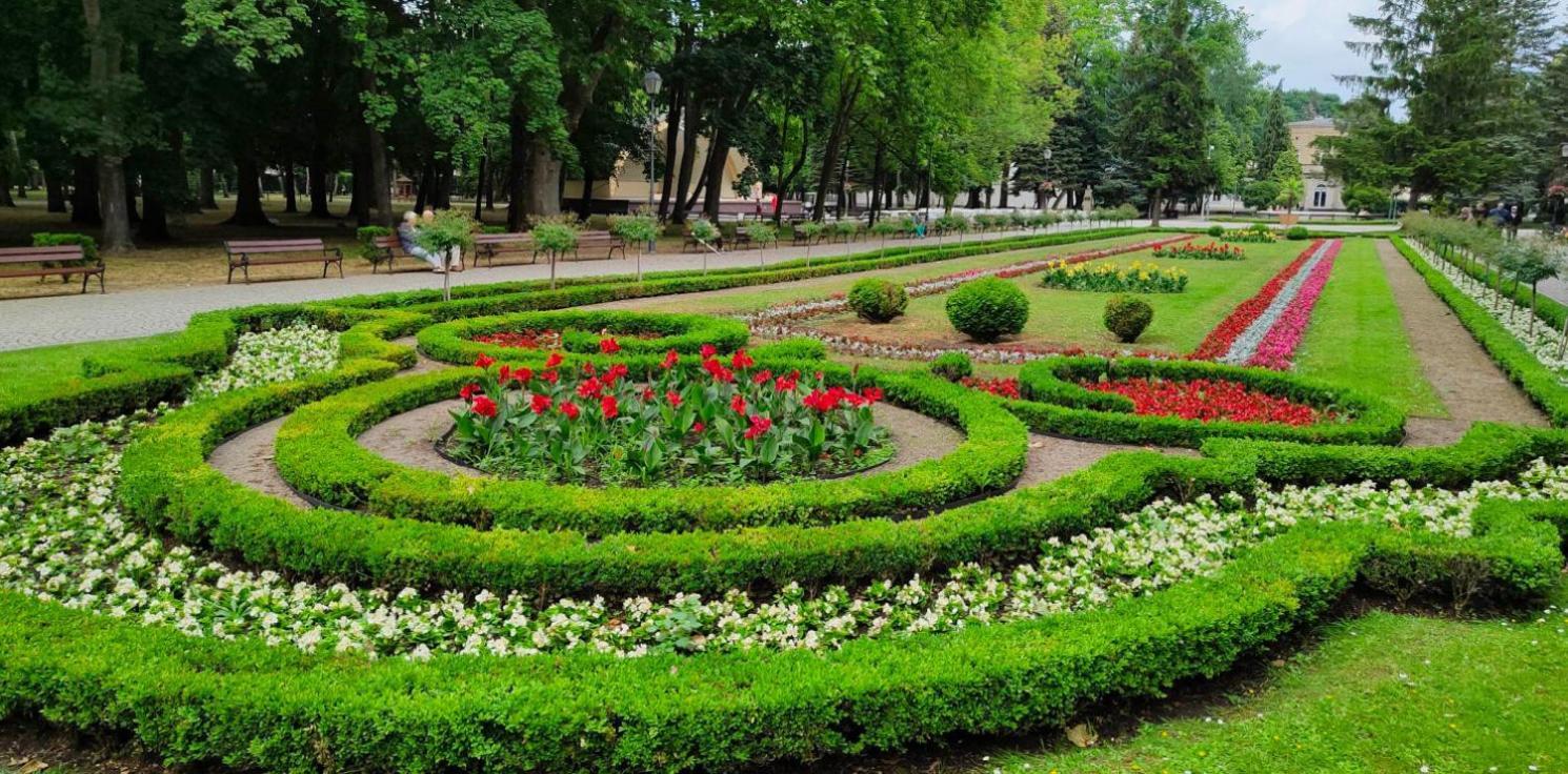Rezydencja Pod Teznia & Spa Inowrocław Dış mekan fotoğraf
